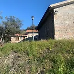 Aurora *